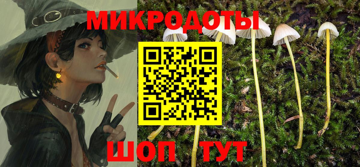 Галлюциногенные грибы Cubensis Обнинск