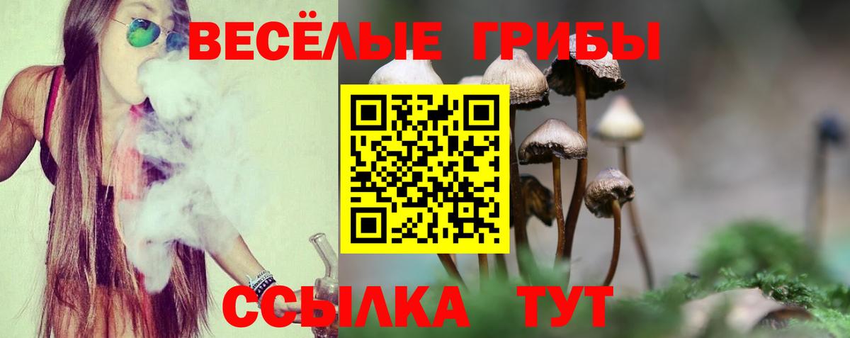 Псилоцибиновые грибы Magic Shrooms  Вход с VPN  Обнинск 